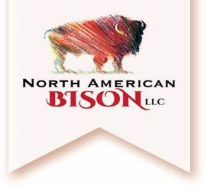north american bison logo